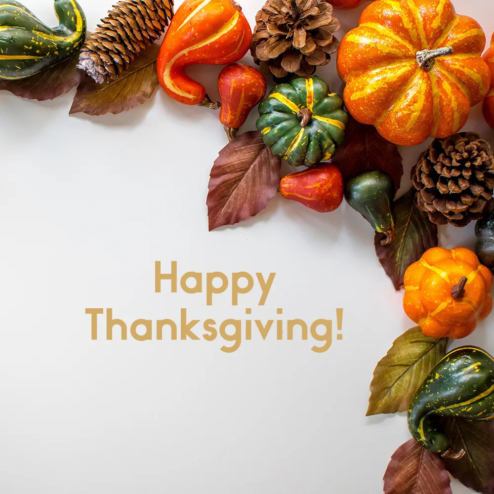 happy thanksgiving